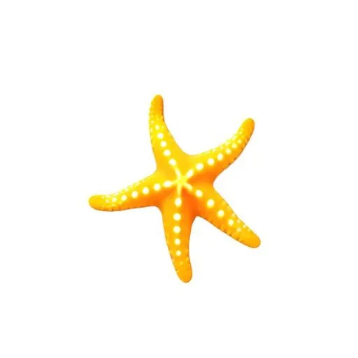 海星海洋免抠(2048x2048)