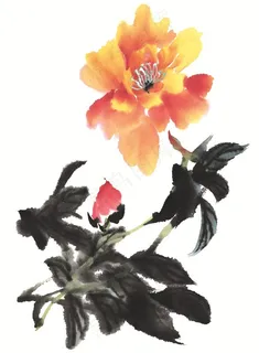 写意花卉工笔美图素材 写意花卉工笔美图素材