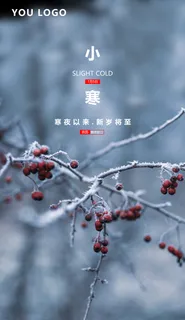 小寒节气psd海报