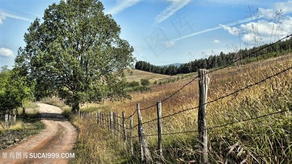 草地山脉小路风景画壁纸