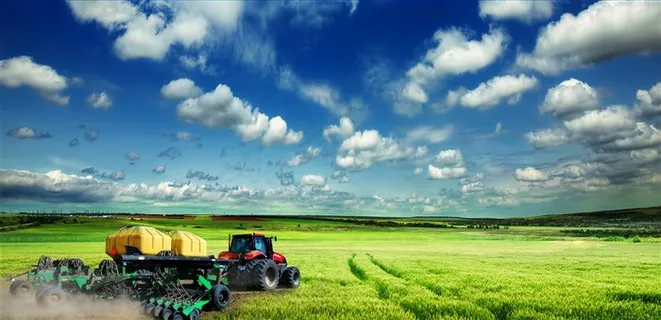 美丽的丰收麦田景色摄影图片