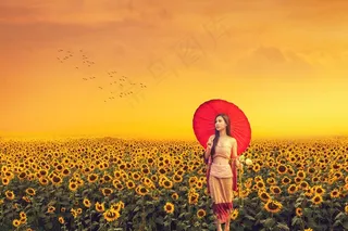 向日葵花海唯美写真图片