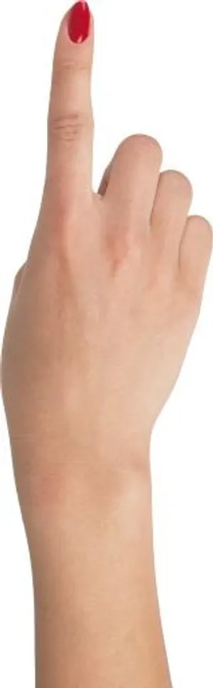 手 PNG, 手图像免费免抠