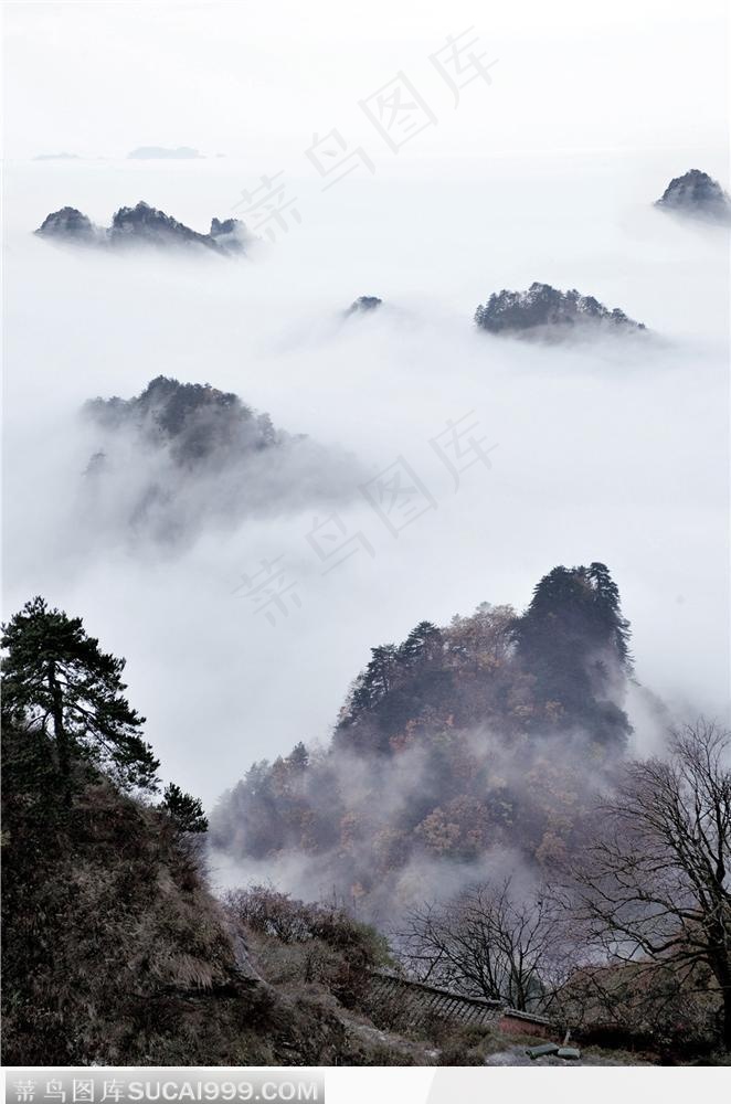水墨武当-云海山色