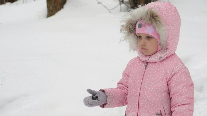 在雪地里喂鸟的女孩