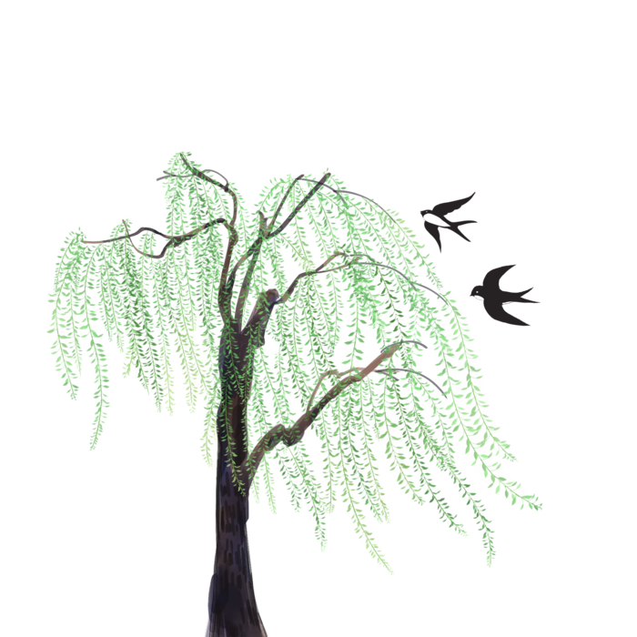 春天绿色春季水墨柳树柳条柳叶春季海报设计PNG免扣素材