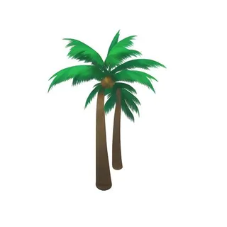 椰子树棕榈树免抠