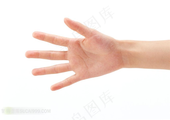 手部特写 手部掌纹特写高清图