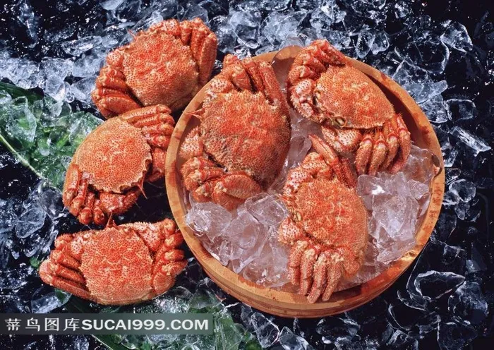 螃蟹冰块摄影素材