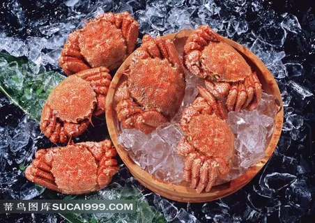 螃蟹冰块摄影素材 螃蟹冰块摄影素材