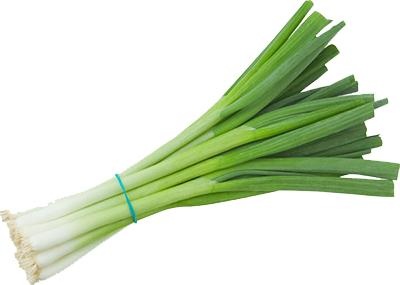 韭菜免抠(400x285)