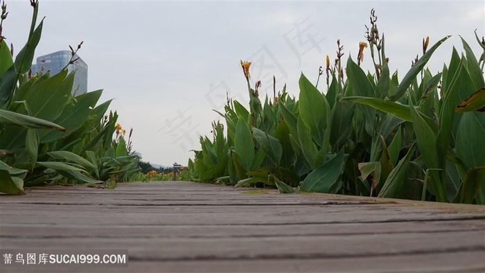 公园绿植木地板