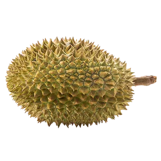 64榴莲 (2)水果超市商品白底图免抠实物摄影png格式图片透明底