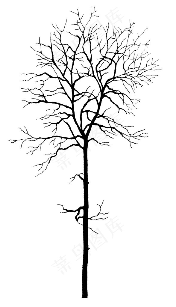 树木设计素材