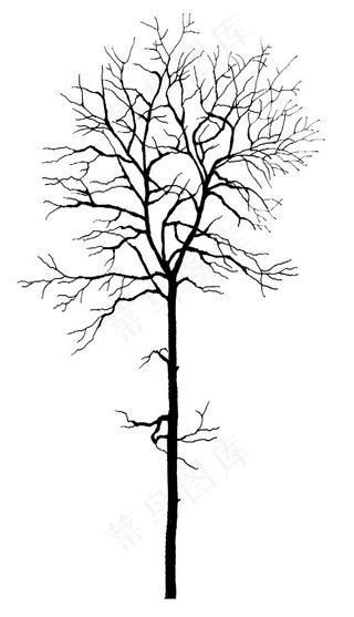 树木设计素材