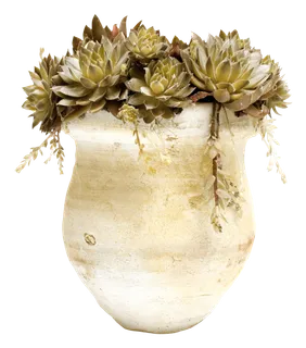 欧式优雅精致复古风格油画质感色彩手绘花卉植物树叶插画PNG素材2