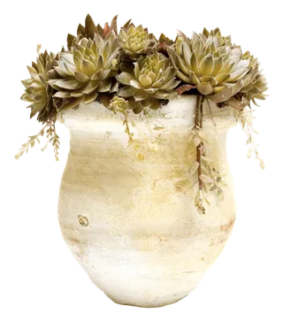 欧式优雅精致复古风格油画质感色彩手绘花卉植物树叶插画PNG素材2