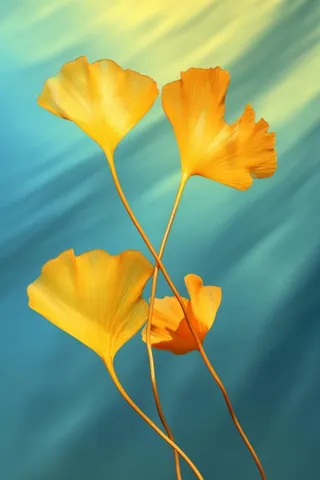 简约大气渐变落叶黄色秋叶背景