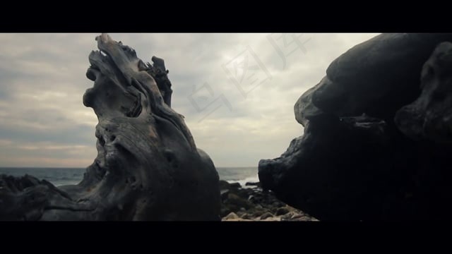 浮木, 海滨, 海滩, 有天赋的人, 海, 风化, 海洋