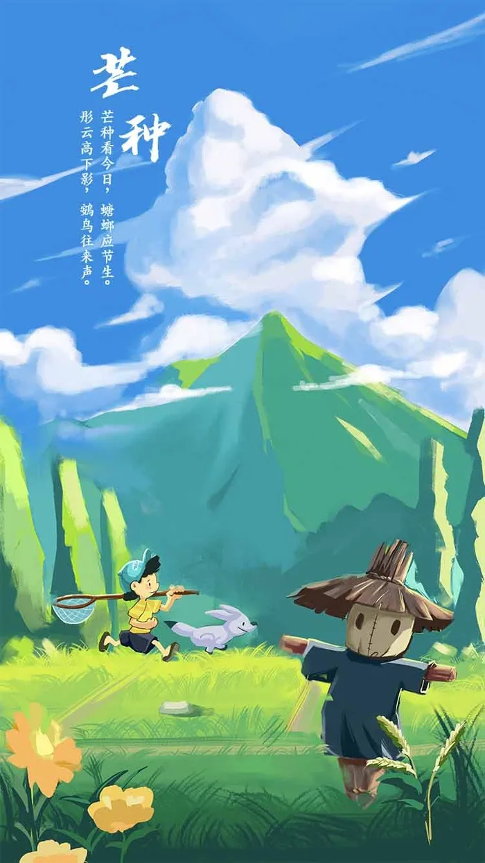 芒种 芒种营销设计psd模版下载