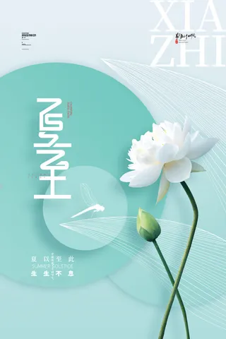 简约大气夏至海报传统24节气海报