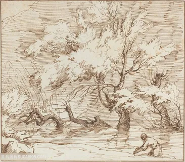 水彩手绘树艺术挂画 水彩手绘树艺术挂画