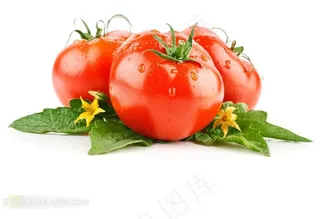新鲜西红柿和叶子花朵