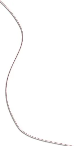 螺纹 PNG免抠(609x1202)