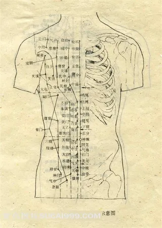 胸腹部输穴主治示意图