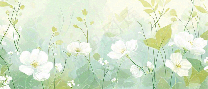 清新白色小花野花野草春天萌芽手绘，春分(1680x720)