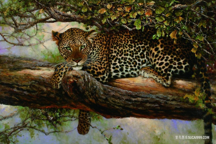 大树豹子高清油画风景画