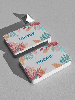 高端大气商务名片样机