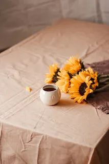 黄色向日葵摄影素材