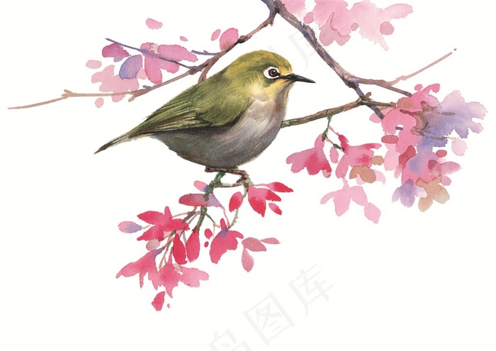 树枝上的小鸟彩绘素材