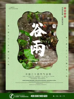 谷雨二十四节气海报设计