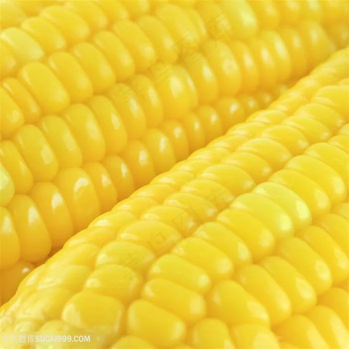 整齐的玉米特写高清图