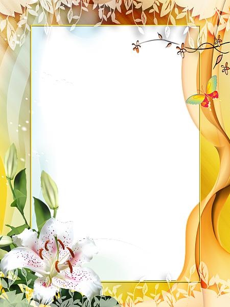 图片,相框PNG免抠