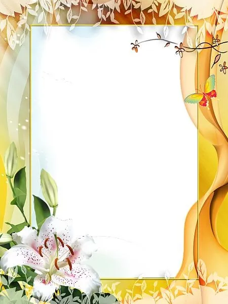 图片,相框PNG免抠(450x600)