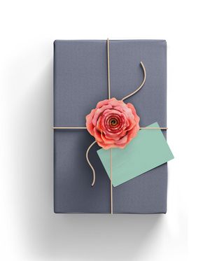 包装盒vi样机免抠png素材