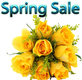 黄色玫瑰花朵素材