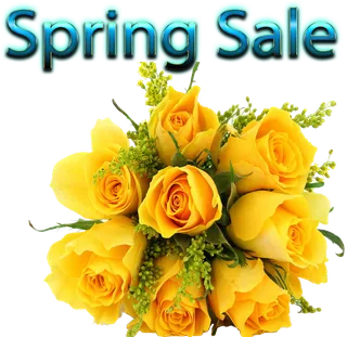 黄色玫瑰花朵素材