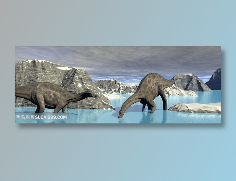 动物世界恐龙世界高清图