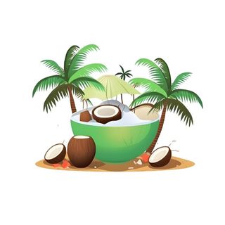 海岛椰子树免抠