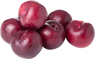 黑布林红色水果