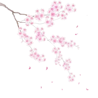 春天浪漫粉红色樱花手绘樱花梅花桃花花朵图片PNG免扣素材