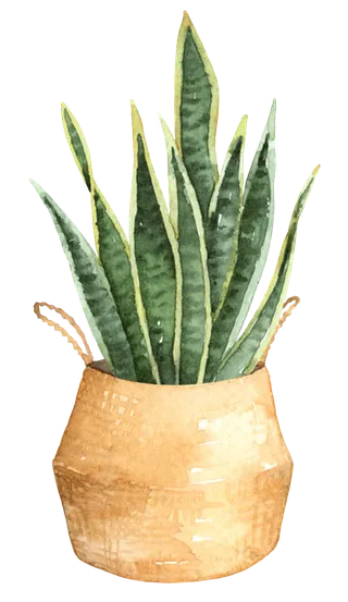 花草植物免扣植物水彩插画设计素材