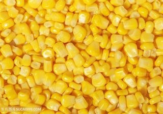 新鲜的玉米颗粒高清图片