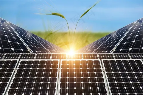 麦穗与太阳能板等逆光摄影高清图片 麦穗与太阳能板等逆光摄影高清图片