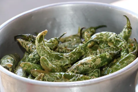 绿色大豆荚图片 绿色大豆荚图片