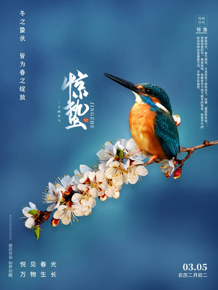 二十四节气之惊蛰节气宣传海报psd模版下载